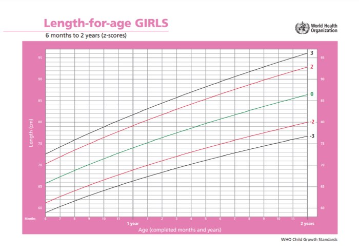 Grafik berat menurut umur untuk anak perempuan usia 6-24 bulan. Sumber: WHO, 2020